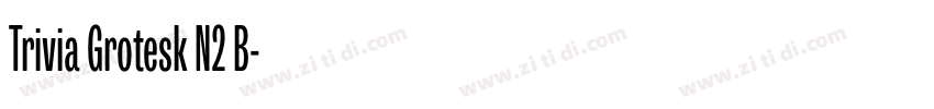 Trivia Grotesk N2 B字体转换 Trivia Grotesk N2 B字体转换